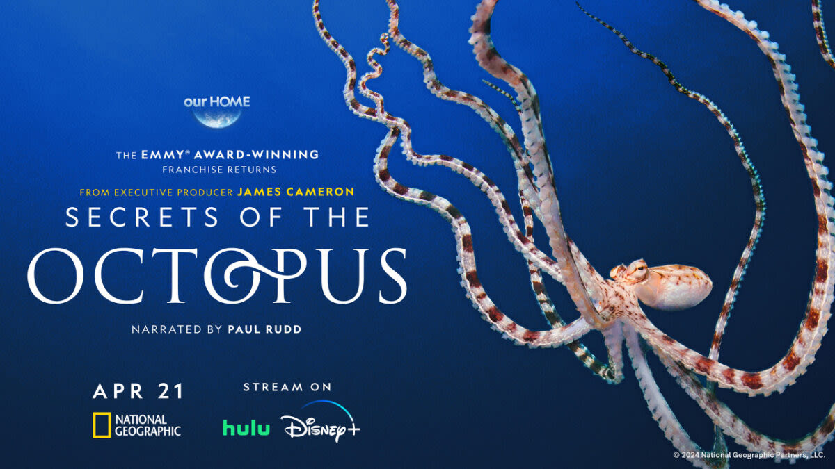 Brokaw: James Cameron talks about ‘Secrets of the Octopus’ on Nat Geo