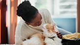 Here's How Much the Average Pet Parent Spends on Their Cats Annually