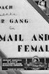 Mail and Female