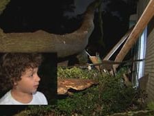 ‘Just started screaming:’ Dad pulls 7-year-old son from bedroom after tree crashes through roof