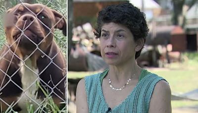 Texas family shoots pit bulls who attacked, killed their livestock: 'I live in fear for my life'