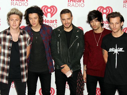 Zayn Malik: One Direction resented each other