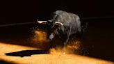 Dicen cuándo se acabarán las corridas de toros; efecto de la prohibición no es inmediato