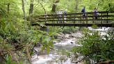 Great Smoky Mountains National Park is a gem. Here's everything to know for your visit