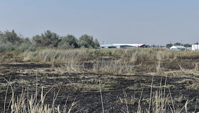 FIRE REPORT: Wetland fire burns 60 acres in Moses Lake