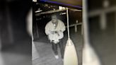 Caught on camera: Thieves break into Denver restaurant, taking cash, cards