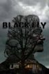 Black Fly