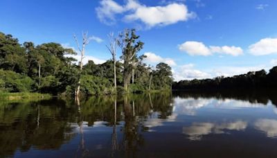 Parque Nacional del Manu: los tesoros de biodiversidad que esconde esta conocida reserva natural en Perú