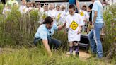 "Terrapin Rescue Project" Rescues Nearly 1000 Turtles a Year