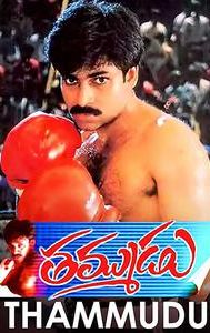 Thammudu (film)