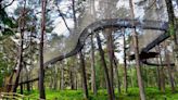 Million-pound boost for Carrbridge’s Landmark pine forest