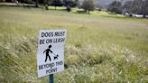 Letters to the editor: Unleashed dogs at SLO’s Meadow Park are a menace | Opinion