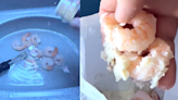 A Man On TikTok Cooked Shrimp And Mashed Potatoes In An Airplane Bathroom