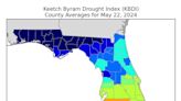 North Port imposes burn ban as 'moderate drought' conditions grip region