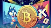 Elon Musk Stuns Fans: No Promotion for Bitcoin or Dogecoin Despite Love for Crypto - EconoTimes
