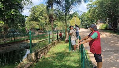 Muere un león del zoológico 'La Reina' en Tizimín, Yucatán