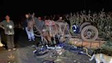 Motociclista morre em colisão com carroça em São João Ivaí | TNOnline