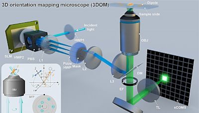 Research presents 2D dipole orientation method for mapping cells