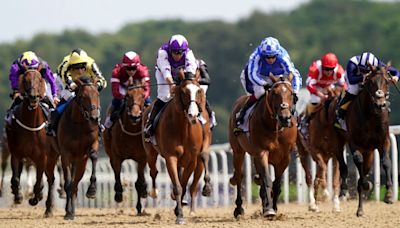 Saturday Tips: Four horses to follow including a 25/1 shot