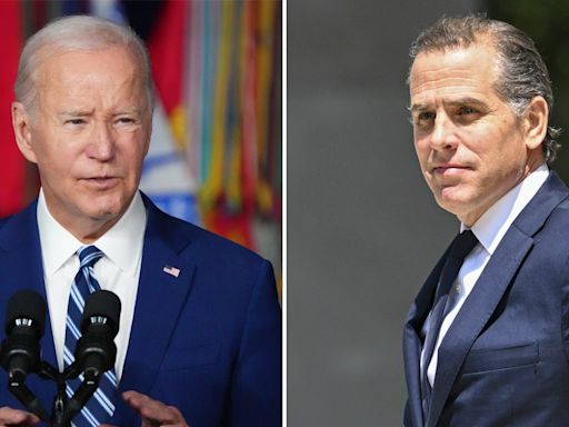 Mother of Hunter Biden's baby doesn't understand why 'tight knit' Bidens are 'excluding' her child