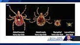This deadly meat allergy is linked to tick bites
