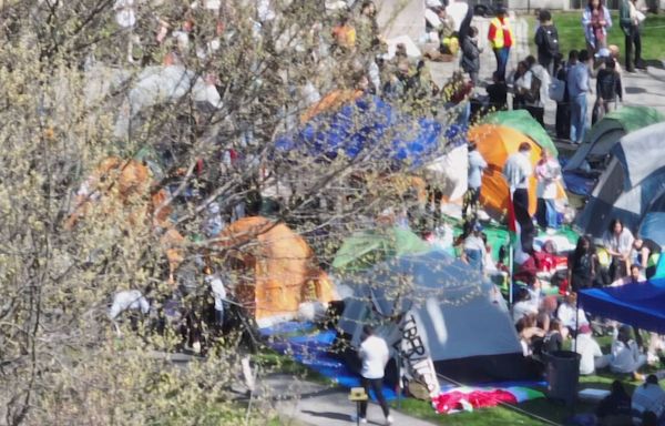 ‘They’re not alone’: Mass. congressman strongly condemns encampments at his alma mater