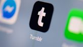 Automattic CEO Matt Mullenweg details Tumblr's future after re-org