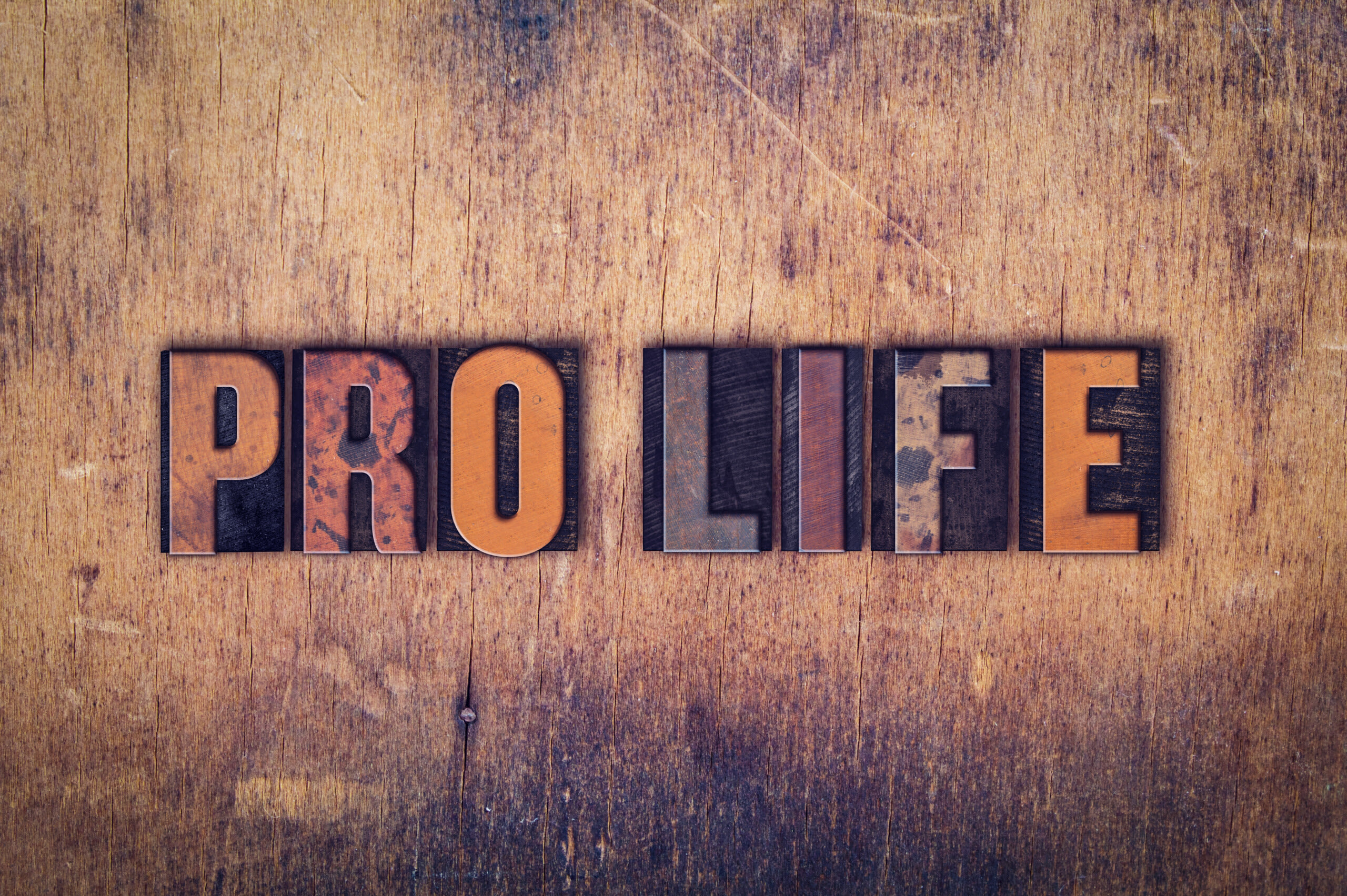 Stand Up for the Pro-Life Persecuted - The American Spectator | USA News and Politics