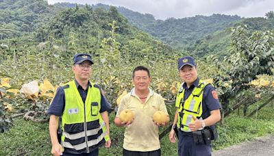 護農專案再啟｜東勢警力全力保護高價水梨 | 蕃新聞