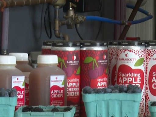 Senator Schumer fights the bubble tax to aid New York cider makers