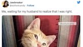 40 Hysterical Married People Who Could've Played Nice On Twitter But Thought, "Ha! Not A Chance!"