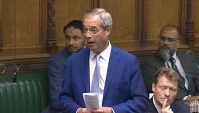 Nigel Farage Reveals 1 Unexpected Element Of Life In Parliament – And It's To Do With Brexit