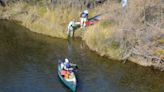 Tuolumne River fish will get $80 million in habitat improvements from MID, TID and SF