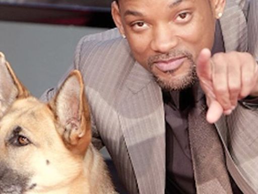 Will Smith: Arrestan a presunto intruso que rondaba su residencia