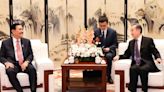 王毅跟印尼對華合作牽頭人會晤 促進雙邊關係升級