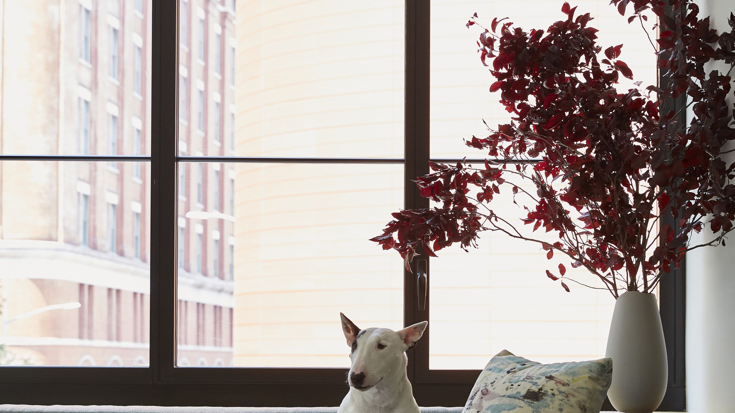 In This Chic Manhattan Pad, Everyone Has a Place—Including the Family Dog