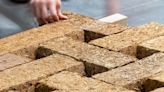 These light, ultra-powerful bricks are made of sugar — and there’s a big reason they may replace concrete in our buildings