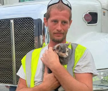 El milagro de Squishy, la gata que se salvó, por muy poco, de morir aplastada por un compactador de basura
