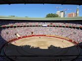 Plaza de Toros de Pamplona