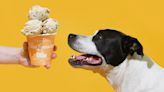 This Summer, Ice Cream Has Gone to the Dogs
