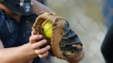 ’Sword’s Fujioka a softball all-region pick | Honolulu Star-Advertiser