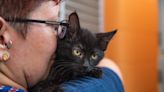 Forward progress: site selected for newer, bigger Clarksville animal shelter
