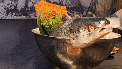 挪威鮭魚鯖魚輸台日增 海產協會推中藥創意料理