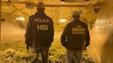 Justice Dept. says Chinese cartels may be making millions off illegal pot grows in Maine