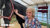 Rare breeds star on day one of Royal Cornwall Show