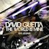 World Is Mine (Perfecto Remixes)