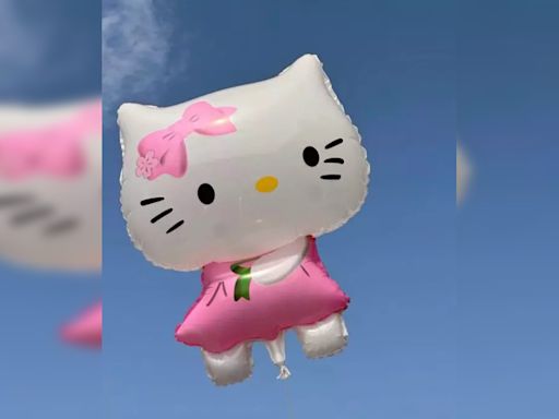 Hello Kitty Is NOT A Cat. Creators Say She Is A....