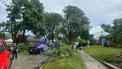 Why sirens didn't alert Livonia to deadly tornado