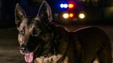 Police Dog and Officer Die in Kansas City Crash