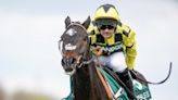 Cheltenham Festival hero Shishkin dies as Nicky Henderson pays tribute to ‘warrior’ racehorse